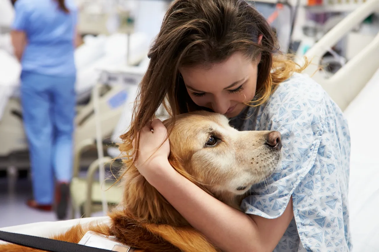 A veterinarian performing a dental exam for dog oral melanoma treatment and diagnosis.