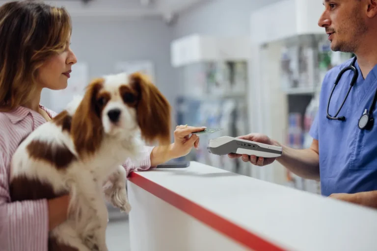 Keeping your pets happy and healthy through a balanced diet and daily exercise.