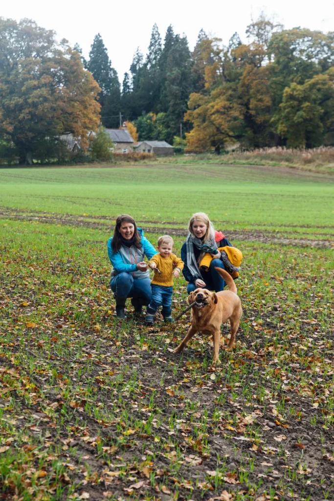 Happy dog and cat playing with enrichment toys at home
