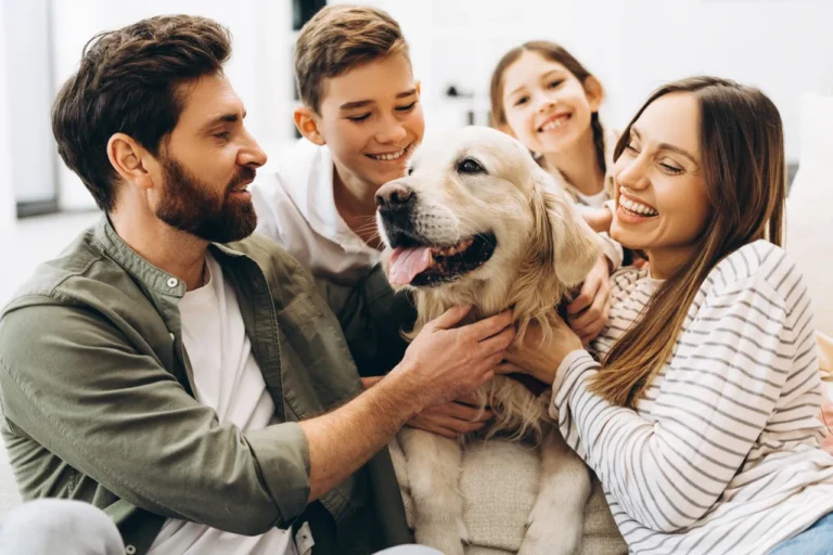 Supporting families dealing with cancer in dogs through compassionate care.