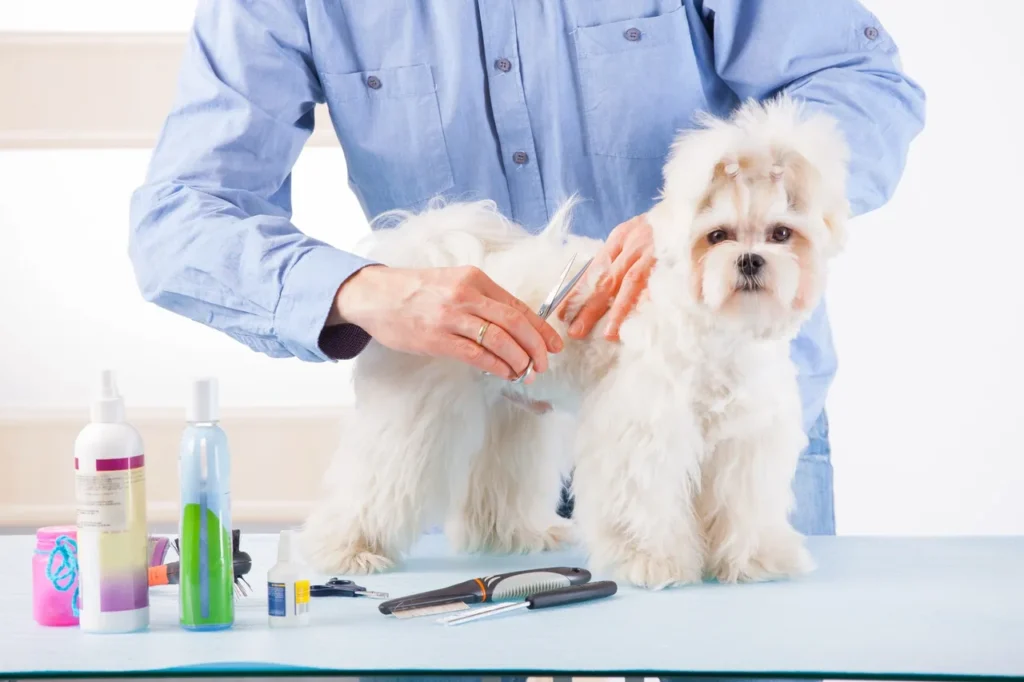 Best deshedding tool for German Shepherds