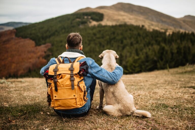 Top Pet Care Tips for a Happy and Healthy Companion