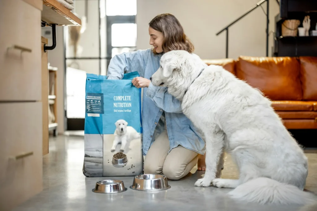 Essential Pet Care Tips for a Happy and Healthy Companion