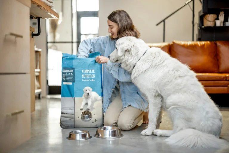 Essential Pet Care Tips for a Happy and Healthy Companion